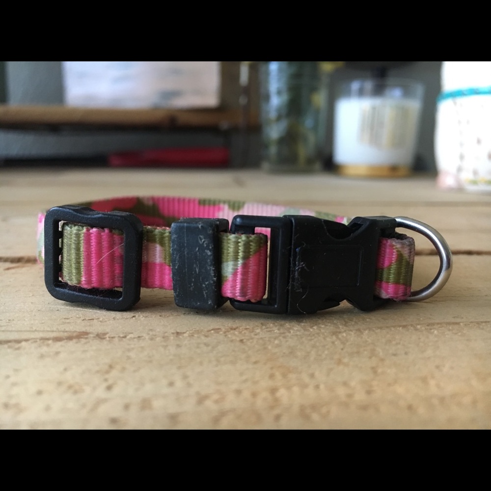 Dog/ cat collar